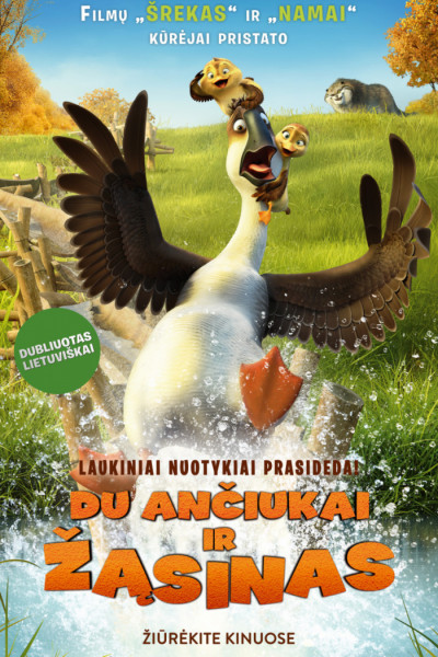 Du ančiukai ir žąsinas (Duck Duck Goose)