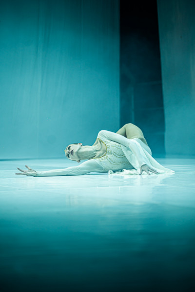 "Baltijos baleto teatras" | Nacionalinis baletas "Vaivos juosta"