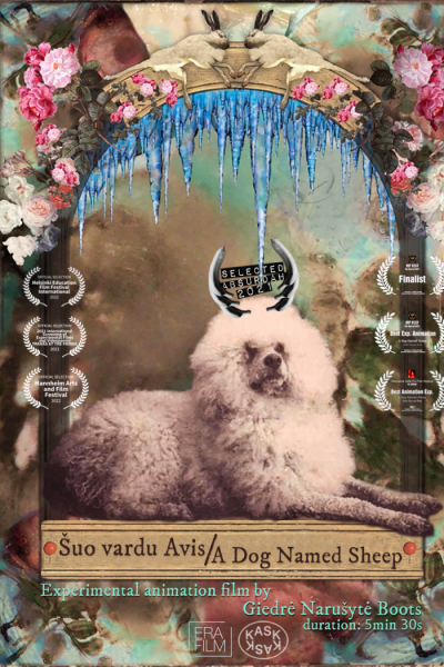 owl-carousel-video-image