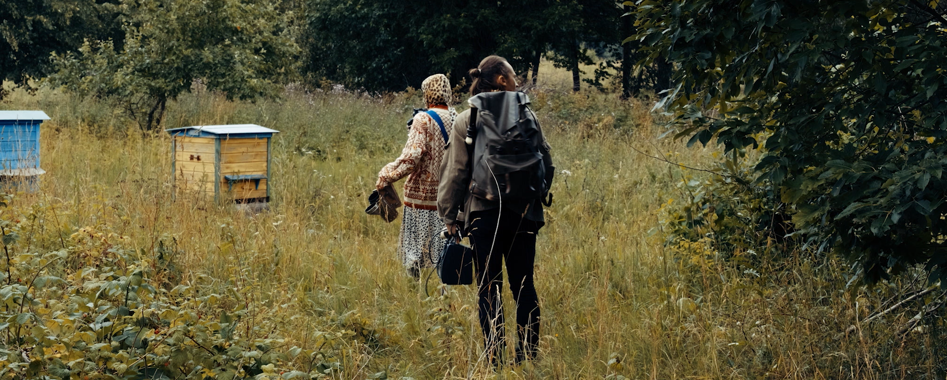 Robotas ir peteliškė